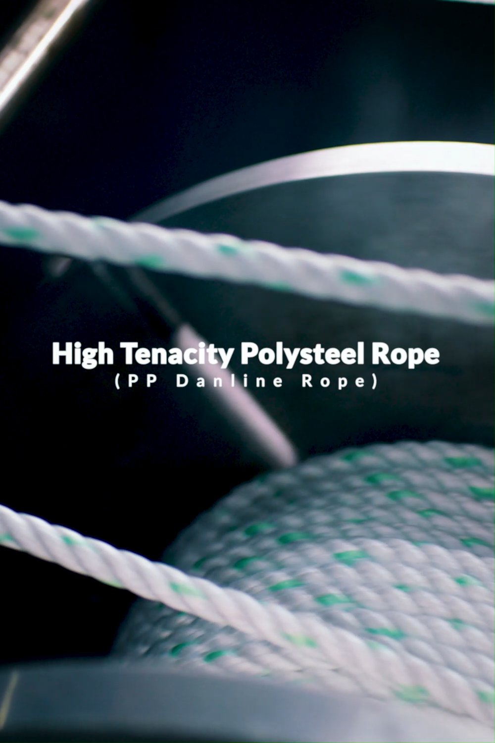 Reel from XynoLab - Contents